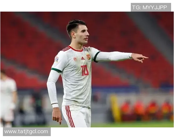 匈牙利足球球星风采全景解析及历史贡献详解